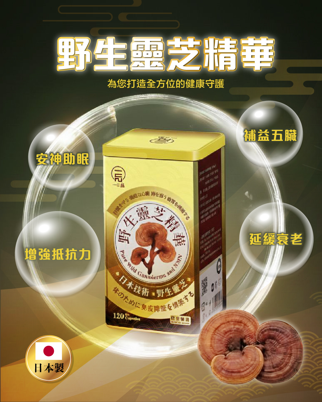 TOP ONE 一品野生靈芝精華120粒