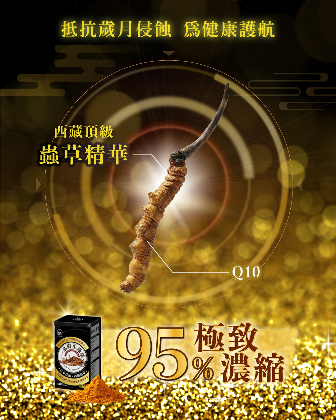 TOP ONE 一品野生蟲草120粒