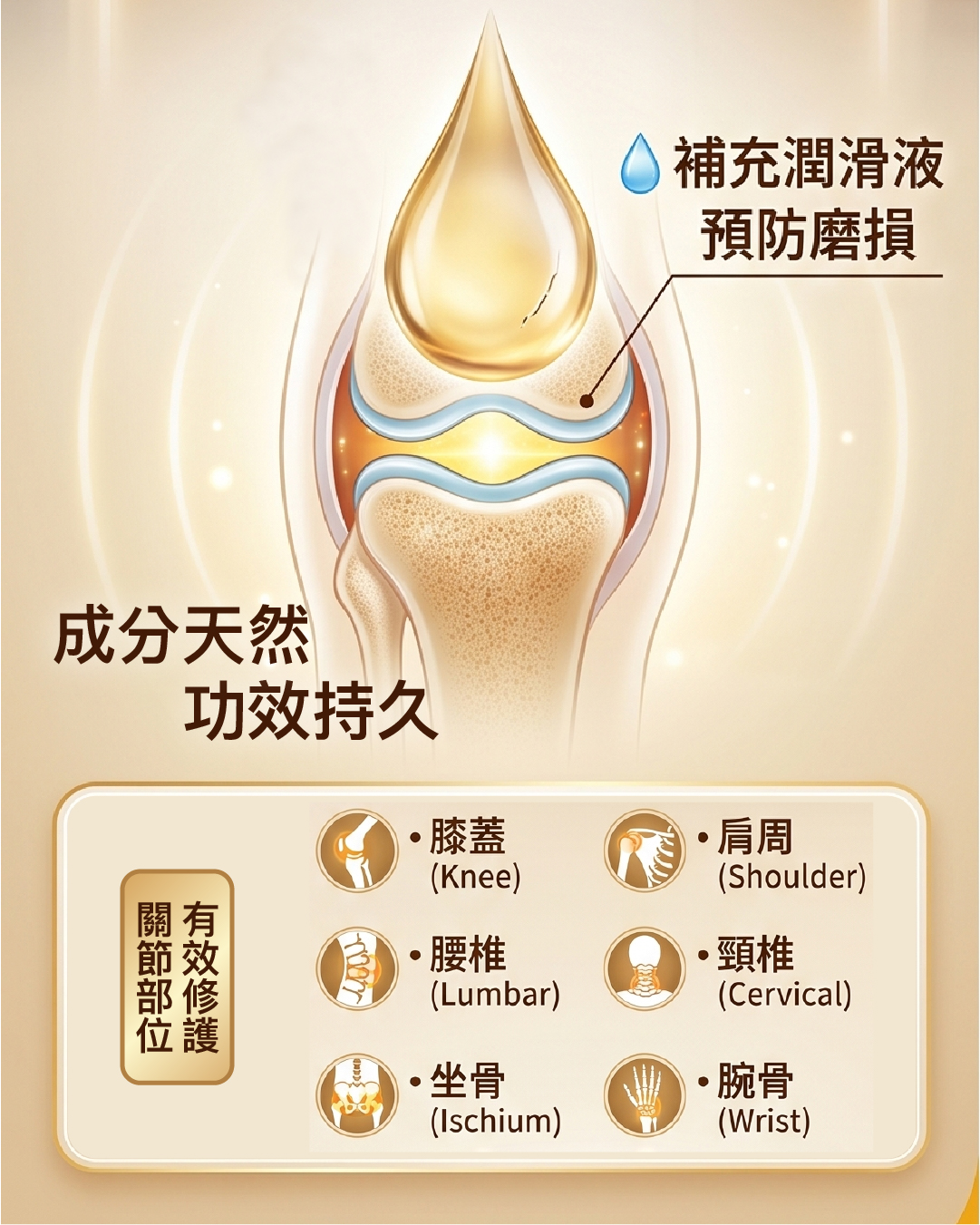 一品活關節寶90粒